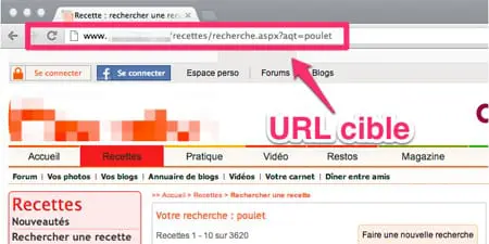 Guide de piratage pour les nuls