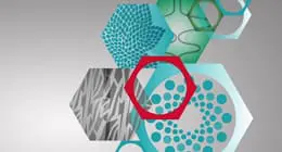 La gestion des droits d&rsquo;accès aux données au cœur de la lutte contre la fraude