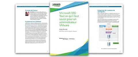 Guide Microsoft VSS pour administrateur VMware :