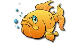 Ikoula poursuit son expansion à l’international