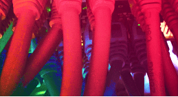 La stratégie numérique connectée fait la différence