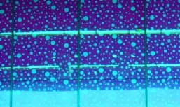 Gestion des autorisations System i Access for Web