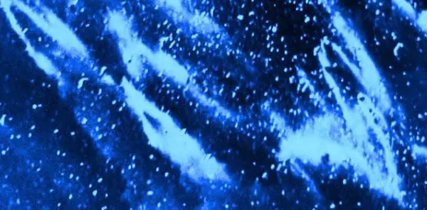 Quel est le coût d’une panne Cloud ?