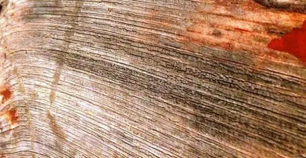 L’Intelligence Artificielle pour l’aide à la décision