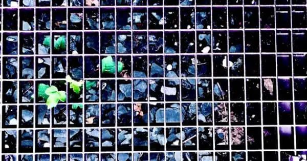 Les 3 défis de la prochaine vague des données !