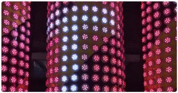 L’expérience client : une feuille de route 2021 en 5 axes