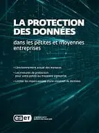 Protection des Données : 10 Best Practices