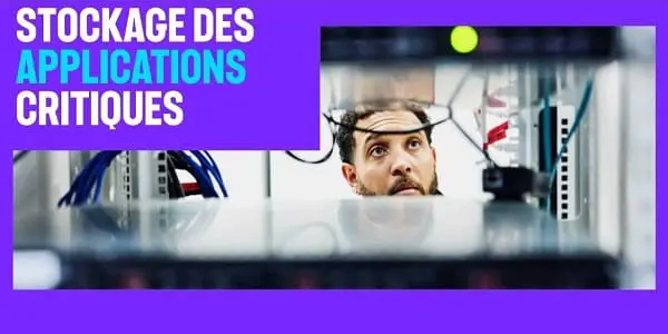 Observatoire DSI 2024 : le stockage des applications critiques en France