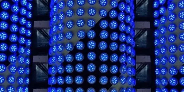 Le paradoxe de la sauvegarde : quand le sentiment de sécurité peut devenir une faiblesse