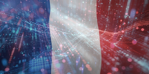 Les marchés publics peuvent-ils encore faire émerger des champions numériques français ?