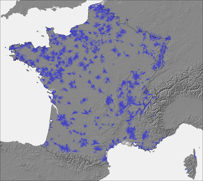 Quand les terminaux Free Mobile préfèrent rester chez Orange