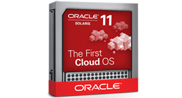 Oracle Solaris 11.1