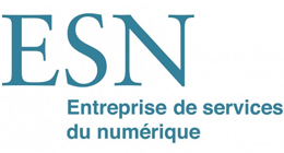 Les SSII deviennent les ESN