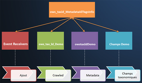 SharePoint : Search et la taxonomie