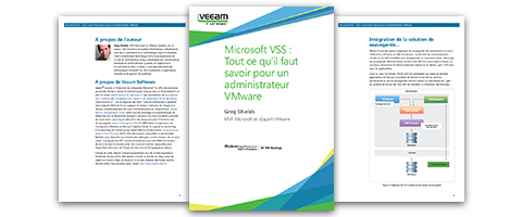 Guide Microsoft VSS pour administrateur VMware :