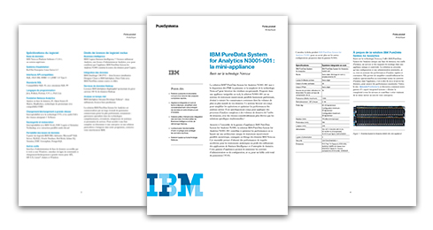 Guide Analytics avec la technologie Netezza