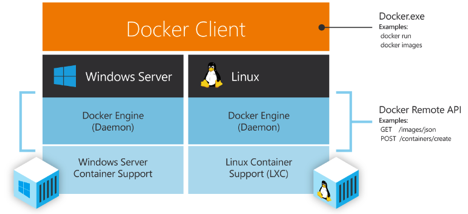 Ouvrage « SQL Server 2008 »