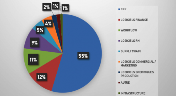 Quels sont les besoins en logiciels des entreprises françaises ?