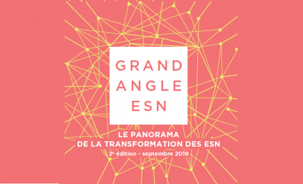 Edition 2019 du panorama de la transformation des ESN
