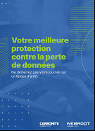Guide de Protection contre la perte de données - Carbonite - Webroot - Gestion et Sécurité des données IT