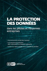 Protection des Données : Le Guide IT Expert Le TOP 10 des meilleures pratiques, processus et solutions de sécurité pour mettre en œuvre une protection efficace des données
