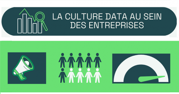 La culture data en 2022 au sein des organisations