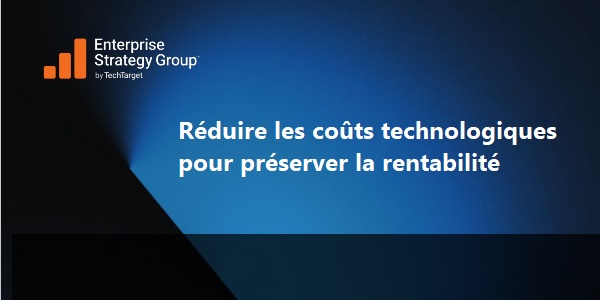 Réduire les coûts technologiques pour préserver la rentabilité